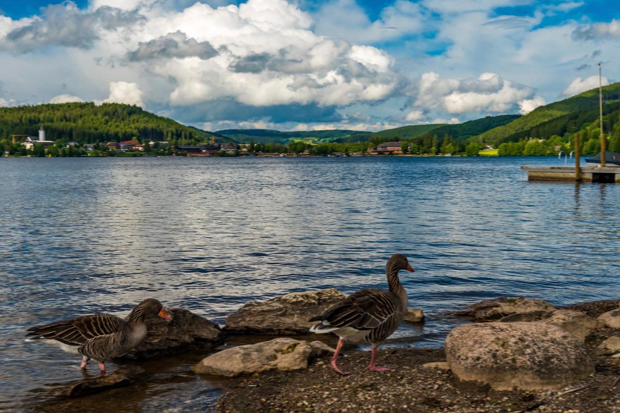 Drei Tannen - Wohnung 12 - Apartmenthaus, Titisee, Nahe Badeparadies Buitenkant foto