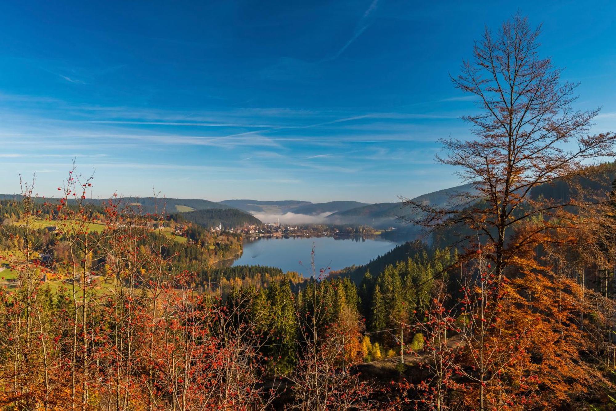 Drei Tannen - Wohnung 12 - Apartmenthaus, Titisee, Nahe Badeparadies Buitenkant foto